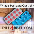 What Is Kamagra Oral Jelly new14